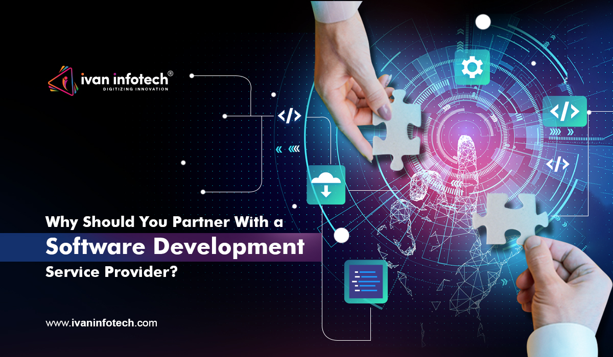Why Should You Partner With a Software Development Service Provider?
