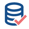 Custom Database Software Development
