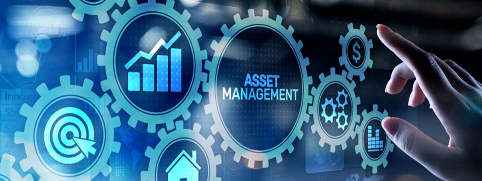 Digital Asset Management Solutions